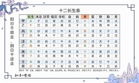 長生子|十二長生:描述,八字解讀,